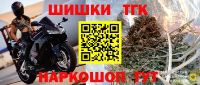 скорость Камышлов