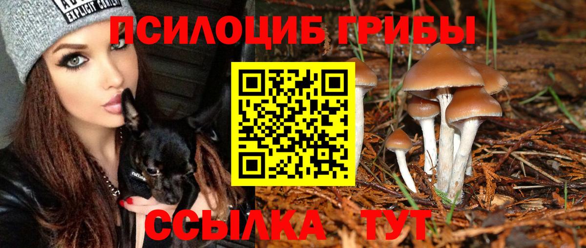 Северодвинск  Псилоцибиновые грибы ЛСД  Вход с VPN 